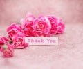 Beautiful blooming carnation flowers with Thank you wording on white card paper