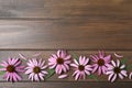Beautiful blooming echinacea flowers, petals and leaves on wooden table, flat lay. Space for text Royalty Free Stock Photo