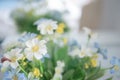 Beautiful blooming of fake flower and green leaf with blurred background