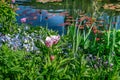 Beautiful blooming flowers, pink tulips and plants growing near the pond with water lilies in Giverny, France. Royalty Free Stock Photo