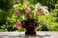 Beautiful blooming flowers in a vase in the gardern