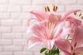 Beautiful blooming lily flowers on brick wall