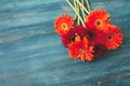 Beautiful blooming orange gerbera daisy flower on wooden blue background. Royalty Free Stock Photo