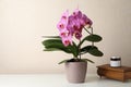 Beautiful blooming orchid, jar and old wooden jewelry box on white table near beige wall. Space for text Royalty Free Stock Photo