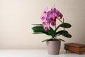 Beautiful blooming orchid and old wooden jewelry box on white table near beige wall. Space for text Royalty Free Stock Photo