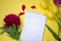 Beautiful blooming peony and tulips with a notebook, office, business concept, spring flowers, copy space, flower on yellow Royalty Free Stock Photo