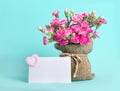 Beautiful blooming of pink carnation flowers on with card text Royalty Free Stock Photo