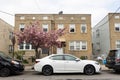 Beautiful Pink Cherry Blossom Tree during Spring along a Neighborhood Street with Old Homes in Astoria Queens Royalty Free Stock Photo