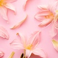 Beautiful blooming pink lily flowers background, top view, copy space. Pink lily composition with petals