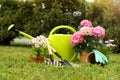 Beautiful blooming plants, gardening tools and accessories on green grass outdoors Royalty Free Stock Photo