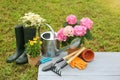 Beautiful blooming plants, gardening tools and accessories on green grass outdoors Royalty Free Stock Photo