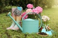 Beautiful blooming plants, gardening tools and accessories on green grass outdoors Royalty Free Stock Photo