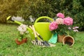 Beautiful blooming plants, gardening tools and accessories on green grass outdoors Royalty Free Stock Photo