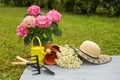 Beautiful blooming plants, gardening tools and accessories on green grass outdoors Royalty Free Stock Photo