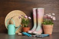 Beautiful blooming plants, gardening tools and accessories on wooden table Royalty Free Stock Photo