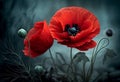 Beautiful blooming poppy on a dark background. Genarated AI