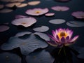 Beautiful blooming purple lotus or waterlily on dark water surface at lotus pond. Space for text Royalty Free Stock Photo