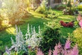 beautiful blooming summer garden in english cottage style. Flower bed with astilbe, stachys, abies koreana Royalty Free Stock Photo
