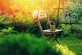 beautiful blooming summer private garden with wooden chair Royalty Free Stock Photo