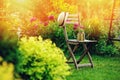 beautiful blooming summer private garden with wooden chair