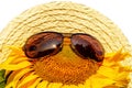 Beautiful blooming sunflower in a straw hat and Sun goggles, white background, sunflower