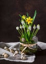 Beautiful blooming white grape hyacinth and yellow daffodils flowers in a glass flowerpot decorated with quail eggs. Royalty Free Stock Photo