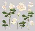 White Rose Realistic Set