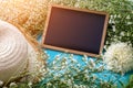 Beautiful blossom branch with framed blackboard over wooden back Royalty Free Stock Photo