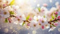 beautiful blossom flowers making a lovely soft floral background or border Royalty Free Stock Photo