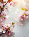 beautiful blossom flowers making a lovely soft floral background or border Royalty Free Stock Photo