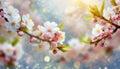 beautiful blossom flowers making a lovely soft floral background or border Royalty Free Stock Photo