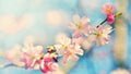 Beautiful blossom tree. Nature scene with sun on Sunny day. Spring flowers. Abstract blurred background in Springtime. Royalty Free Stock Photo