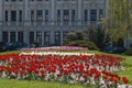 Beautiful blossomed flowers of Kniaz Alexander I Square in downtown Royalty Free Stock Photo