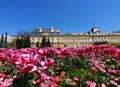 Beautiful blossomed flowers of Kniaz Alexander I Square in downtown of city Sofia