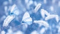 Beautiful blue butterflies in the snow on the wild grass. Snowfall Artistic winter natural image. Winter and spring background.