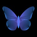 Beautiful blue butterfly on black background Royalty Free Stock Photo