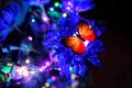 Blue flowers with butterflys and LED lights Royalty Free Stock Photo