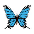 Beautiful blue butterfly flying isolated icon Royalty Free Stock Photo