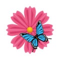 Beautiful blue butterfly flying with pink flower Royalty Free Stock Photo