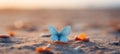 Beautiful Blue Butterfly Resting on Sand. Close-up Macro Shot with Ample Copy Space Royalty Free Stock Photo