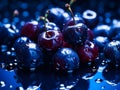 Beautiful blue cherries, wet, reflective surface, glossy, appetizing, dynamic composition.