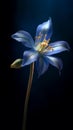 beautiful blue Columbine generative AI