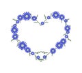 Beautiful Blue Daisy Flowers in Heart Shape