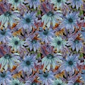 Beautiful blue echinacea flowers coneflower in seamless floral pattern. Watercolor painting.