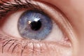 Beautiful Blue eye Royalty Free Stock Photo