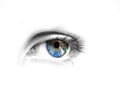 Beautiful blue eye Royalty Free Stock Photo