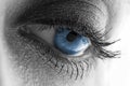 Beautiful blue eye Royalty Free Stock Photo