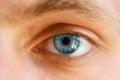 Beautiful blue eye close-up, bright eyes Royalty Free Stock Photo