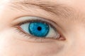 Beautiful blue eye macro shot Royalty Free Stock Photo