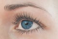 Beautiful blue eye, young beautiful woman close up Royalty Free Stock Photo